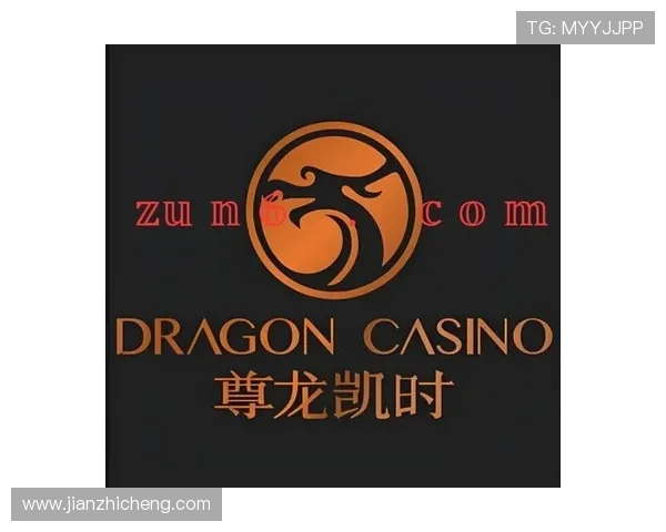 凯时尊龙平台：专业客服团队全天候保障用户权益与服务质量