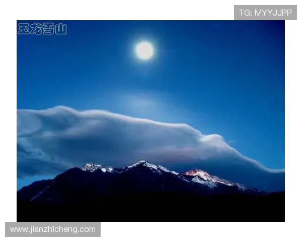 尊龙人生就是博雅：在游戏中实现人生智慧与文化修养的完美融合