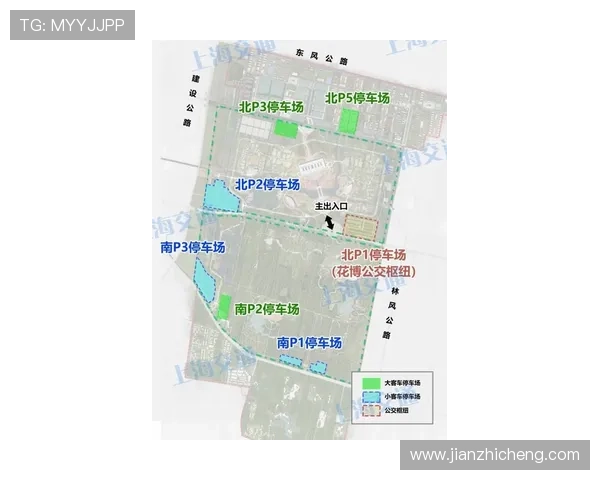 尊龙人生就是博旧版玩家常见问题与解决方案,提供详细操作技巧与实用建议 尊龙人生就是博旧版玩家常见问题与解决方案,提供详细操作技巧与实用建议